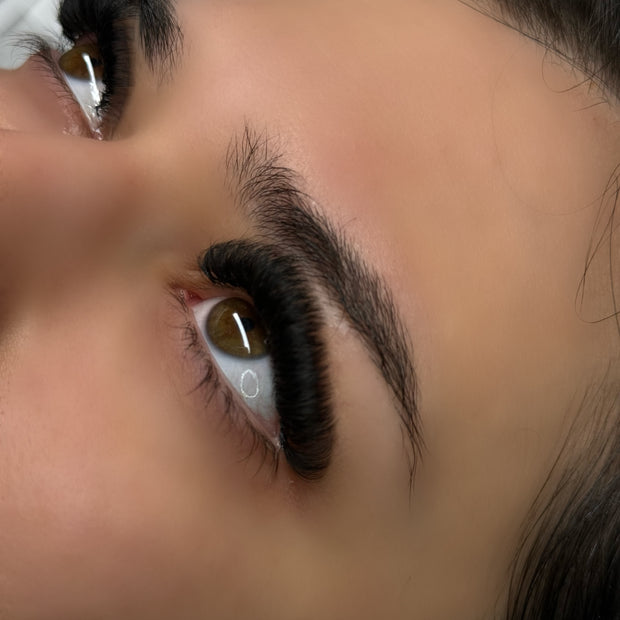 Curs de Perfecționare Individual – Volum 5D până la 20D